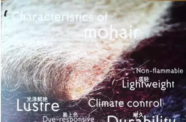 优衣库和zara对比说明,优衣库新款面料