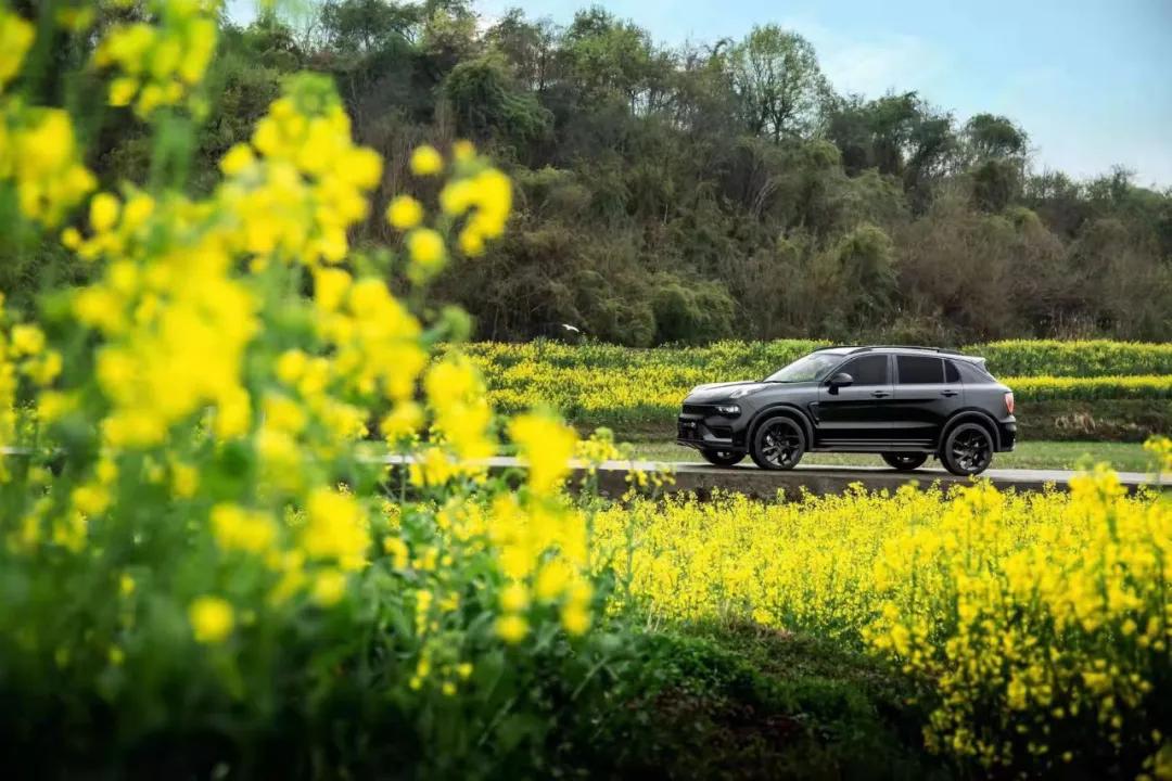 最新款领克01驾驶体验,领克01探界者怎么选