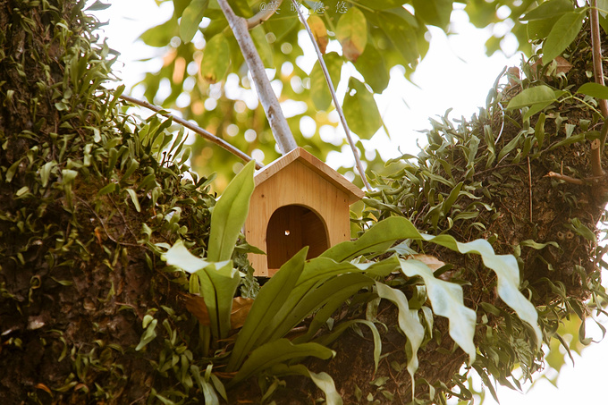广州巴厘岛免费景点,广州温泉度假攻略
