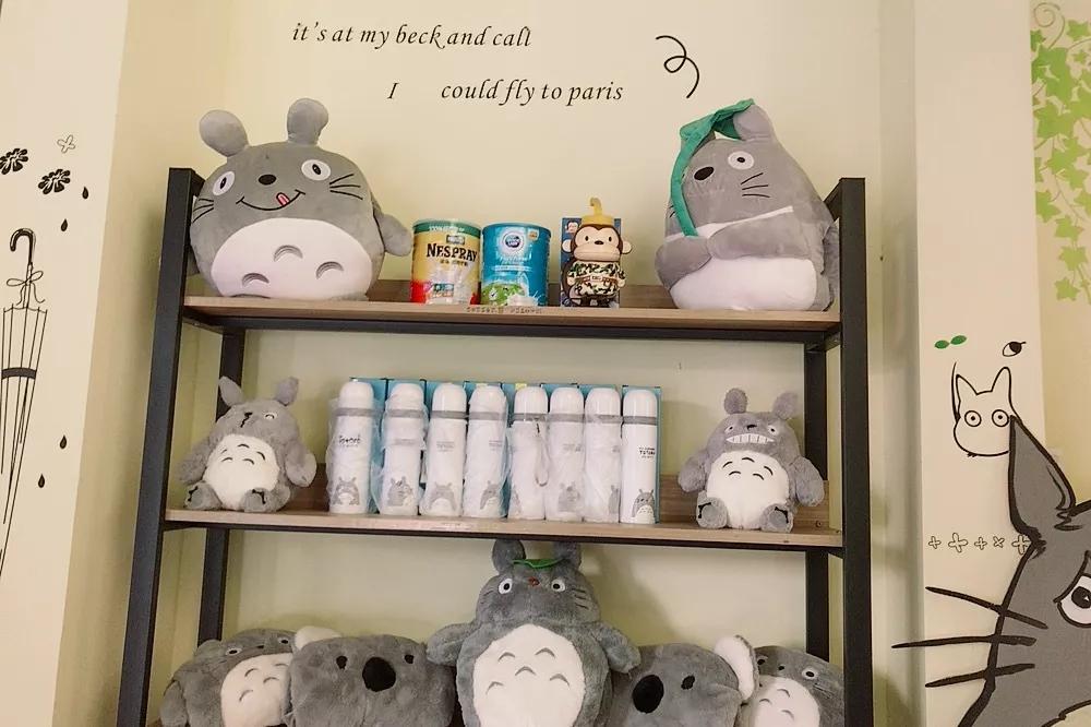 日本进口龙猫主题店,日本龙猫主题店