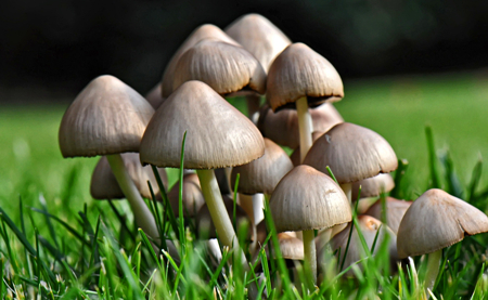 错位创新,错位创新是啥意思