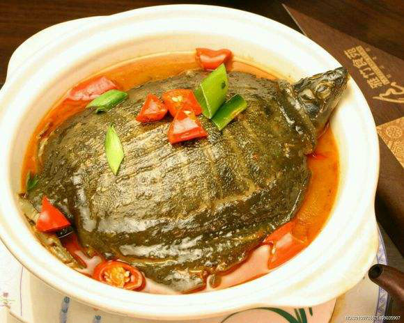 汉寿正宗外塘甲鱼,汉寿甲鱼甲天下图片