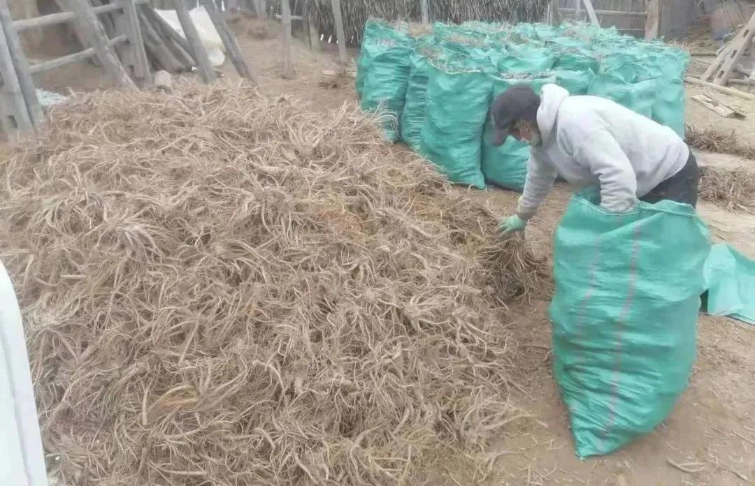 新闻晚高峰视频直播,新闻晚高峰播放时间