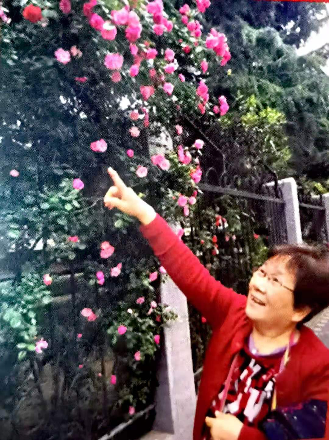 黄豆一袋270元,黄豆袋100斤