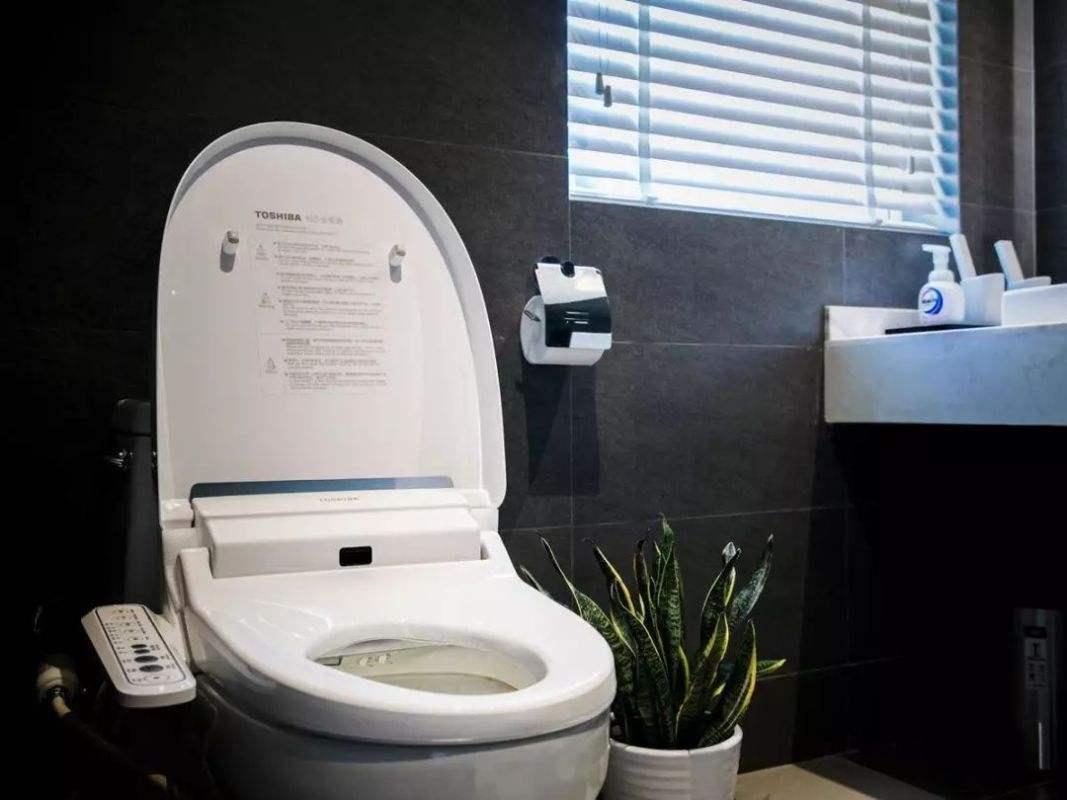 马桶盖哪个牌子质量好又便宜,怎样买马桶盖