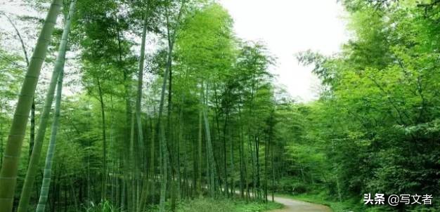 萍乡长丰景色,萍乡长丰梯田