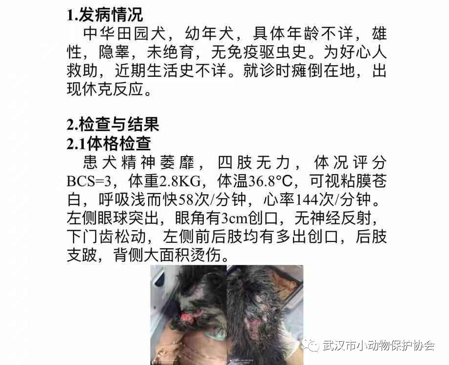 背部烫伤伤口发白是溃烂吗,眼睛被开水烫伤过容易得什么炎症