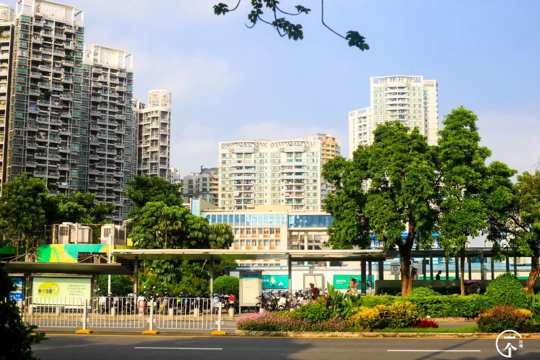 2000万在深圳能买到别墅吗,2000能在深圳租到怎样的房子