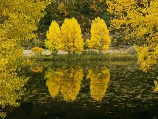 浅绛山水画给人的感觉,浅绛与焦墨山水画收藏