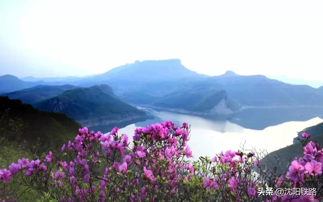 暑假枣阳周边游玩的地方推荐,中山暑假周边游2-3天去哪里