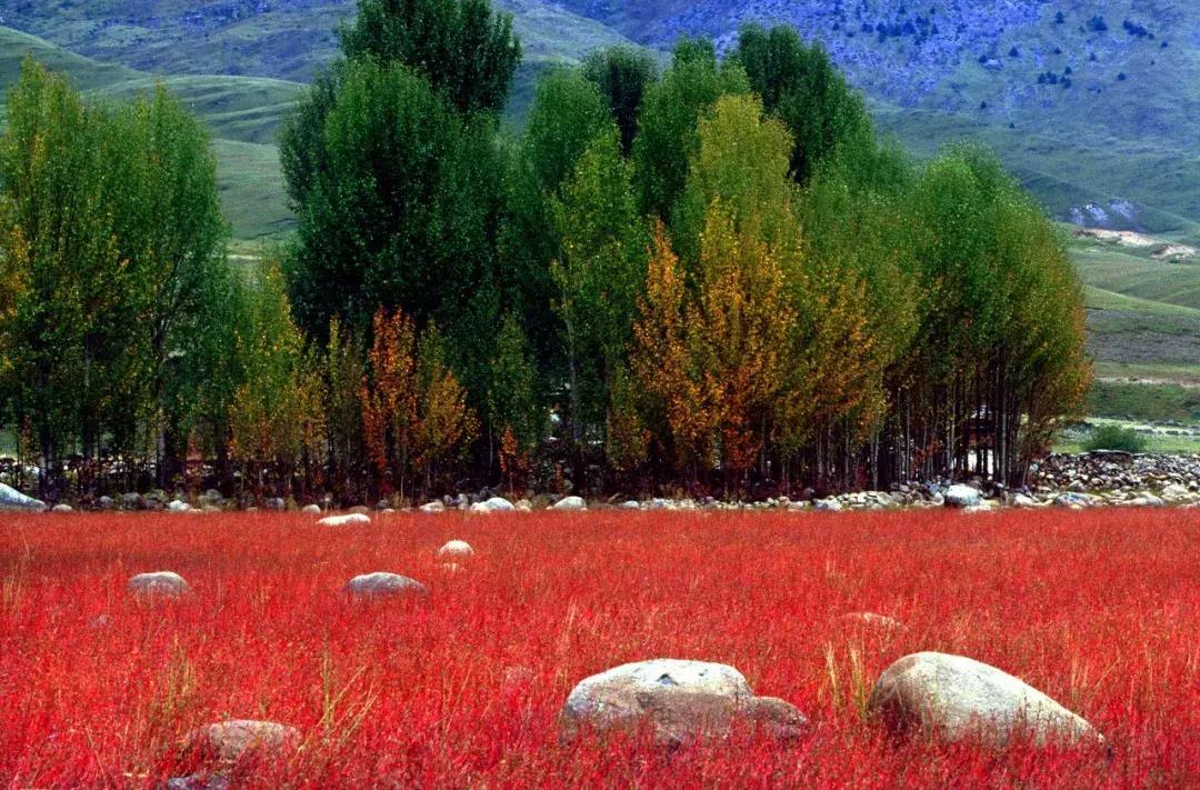 九月下雨天去稻城,辞职去稻城亚丁