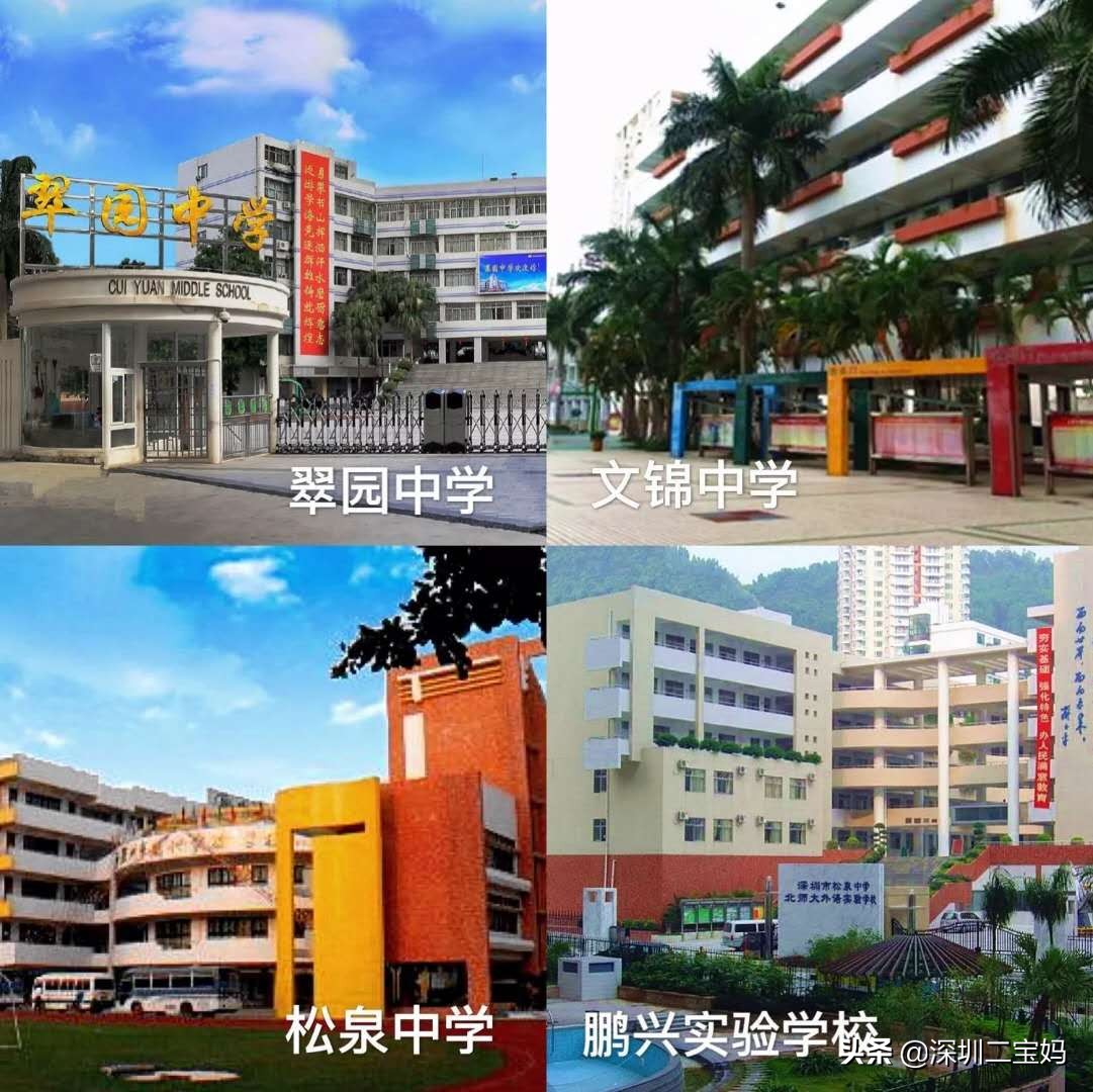 深圳罗湖区九大教育集团,深圳罗湖有哪些好的教育集团