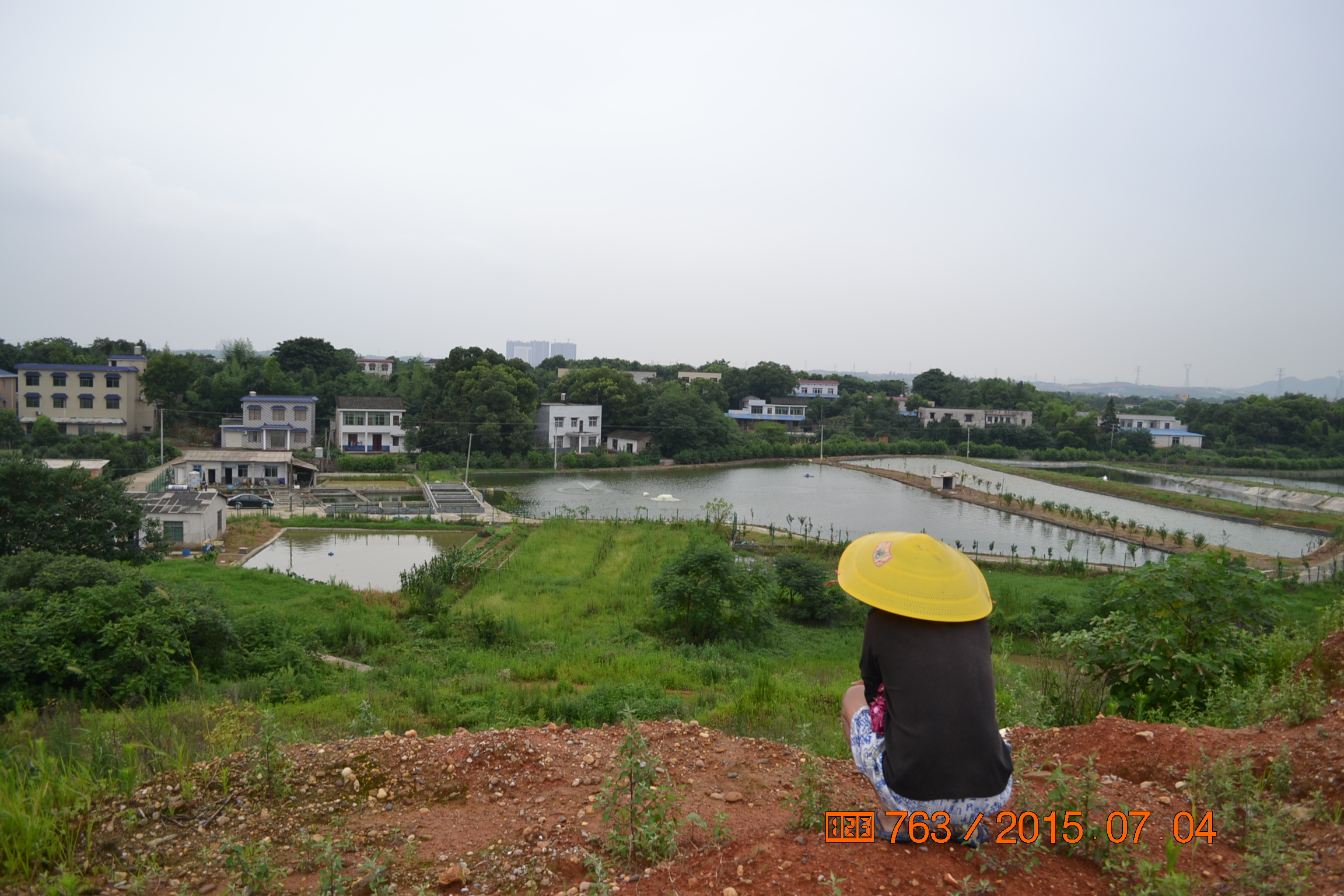 湖南最好的锦鲤养殖基地,湘潭锦鲤养殖