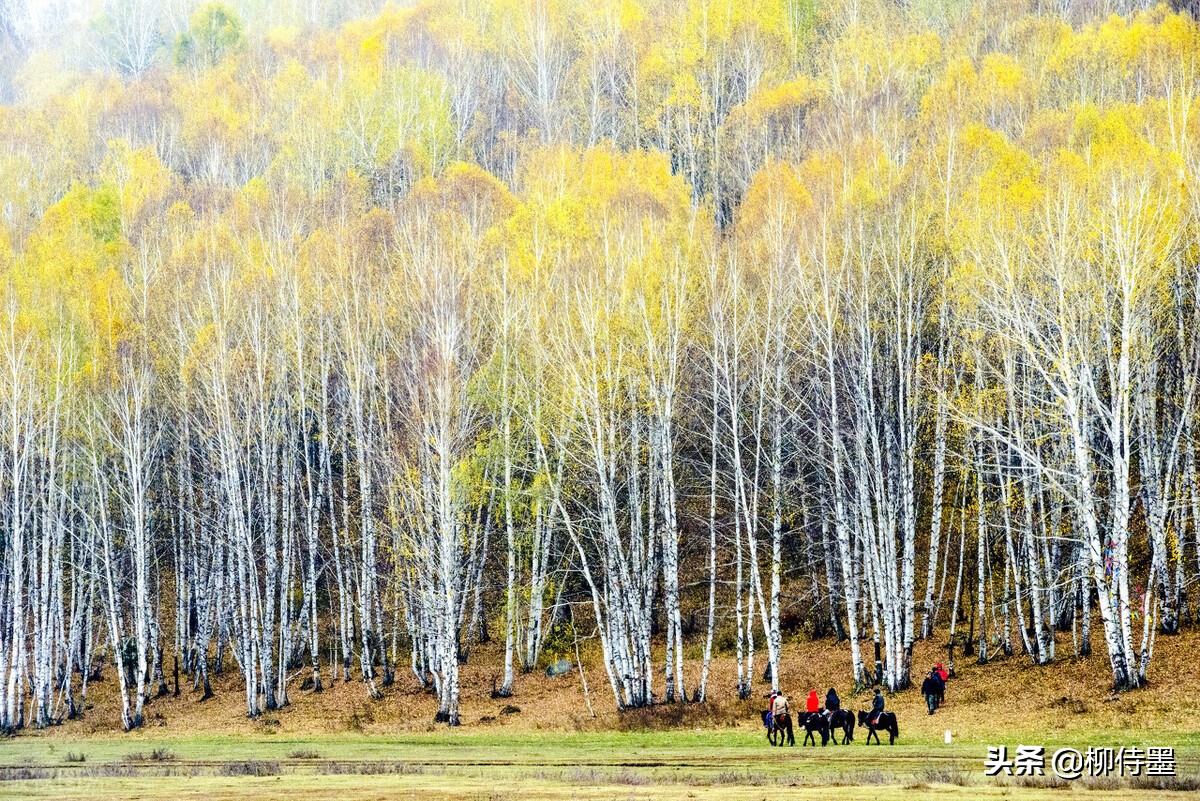 摄影新手拍风景别走弯路,入门风景摄影拍摄技巧