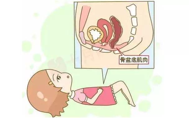 修复盆底肌，千万别错过黄金期