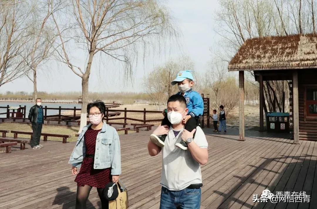 天津新开放的公园,天津水西公园现在恢复开放了吗