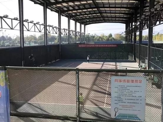 雁过留声02,雁过留声直播