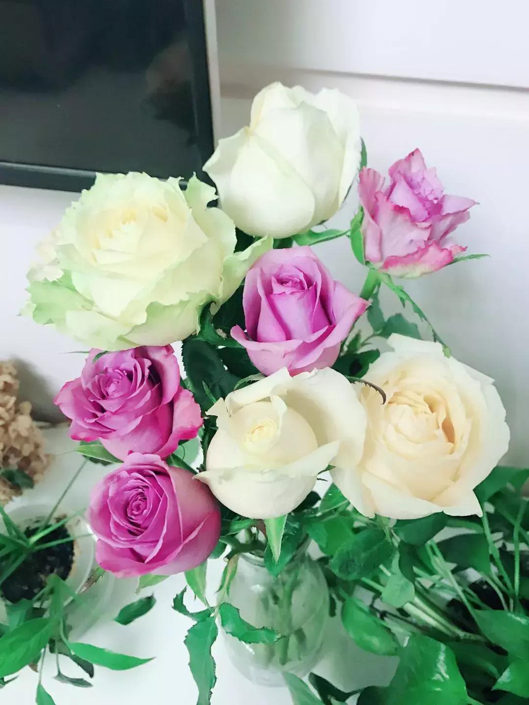 玫瑰鲜花养护方法和时间,玫瑰花束怎么养护延长花期呢