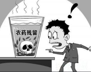 茅岩莓茶什么时间喝最好,真正的茅岩莓茶