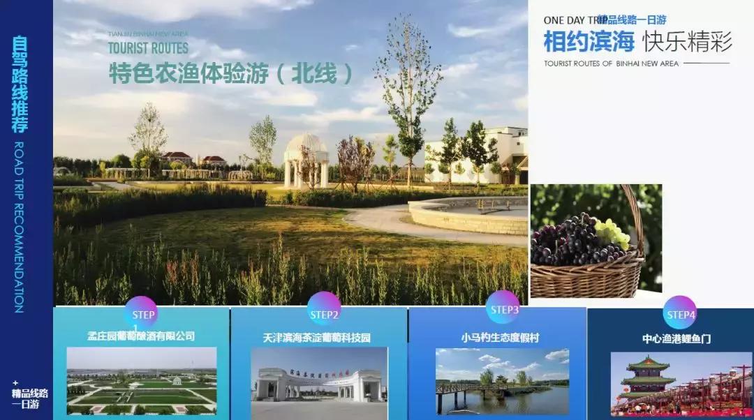 天津哪里看海最美,天津看海旅游攻略第一名