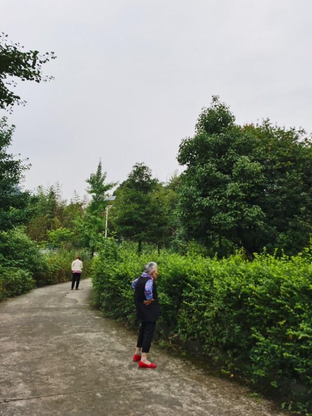 带妈妈去青城山避暑,陪父母游四川青城山