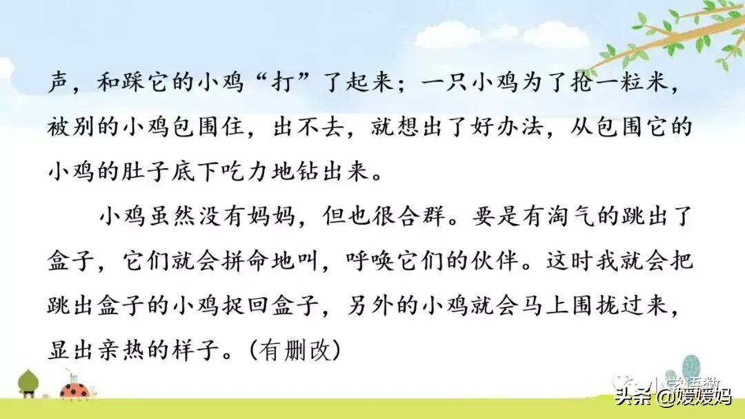 四年级下册第13课小练笔仿写母鸡,四年级下册14课母鸡的预习完整版