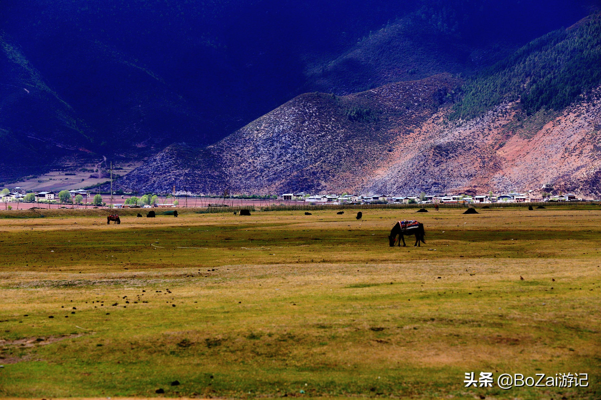 云南迪庆有哪些旅游景点,迪庆最值得去的景点有哪些地方