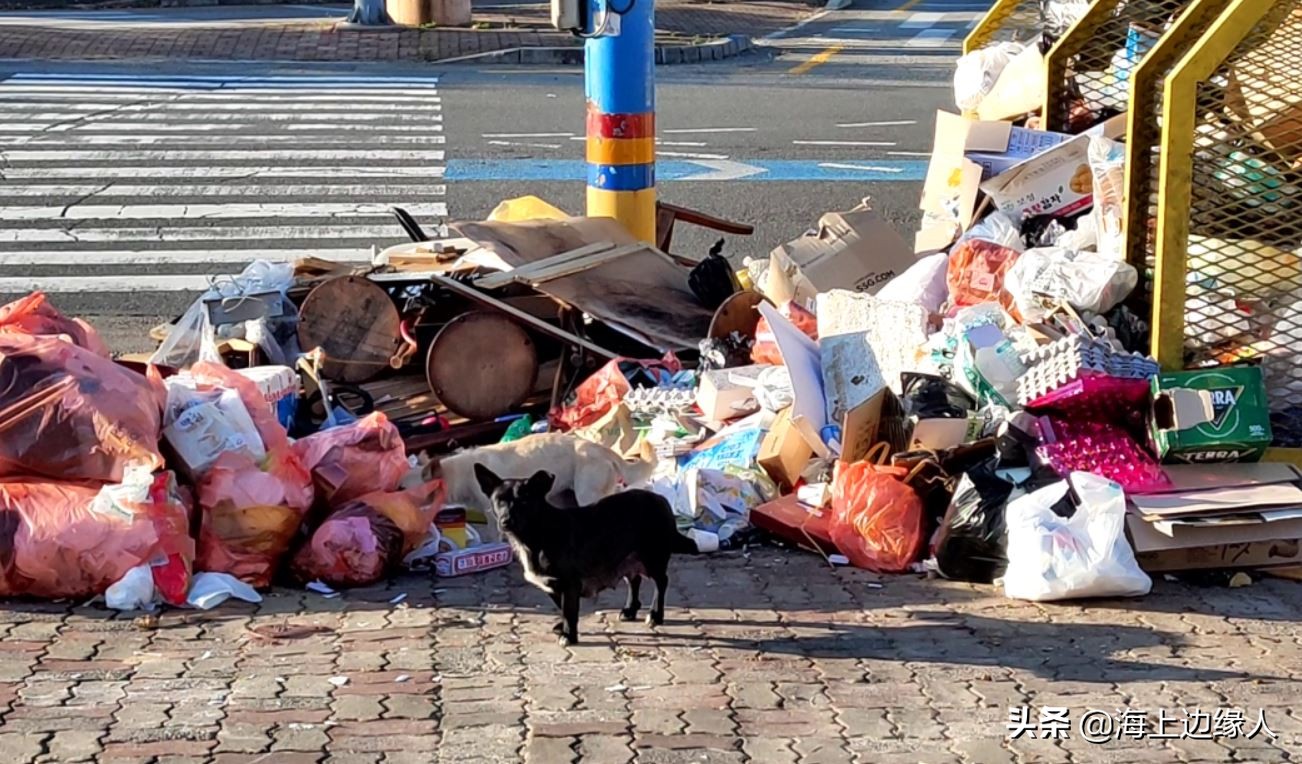 旅行日记：船员韩国下地购物，终于踏上陆地，心情无比激动