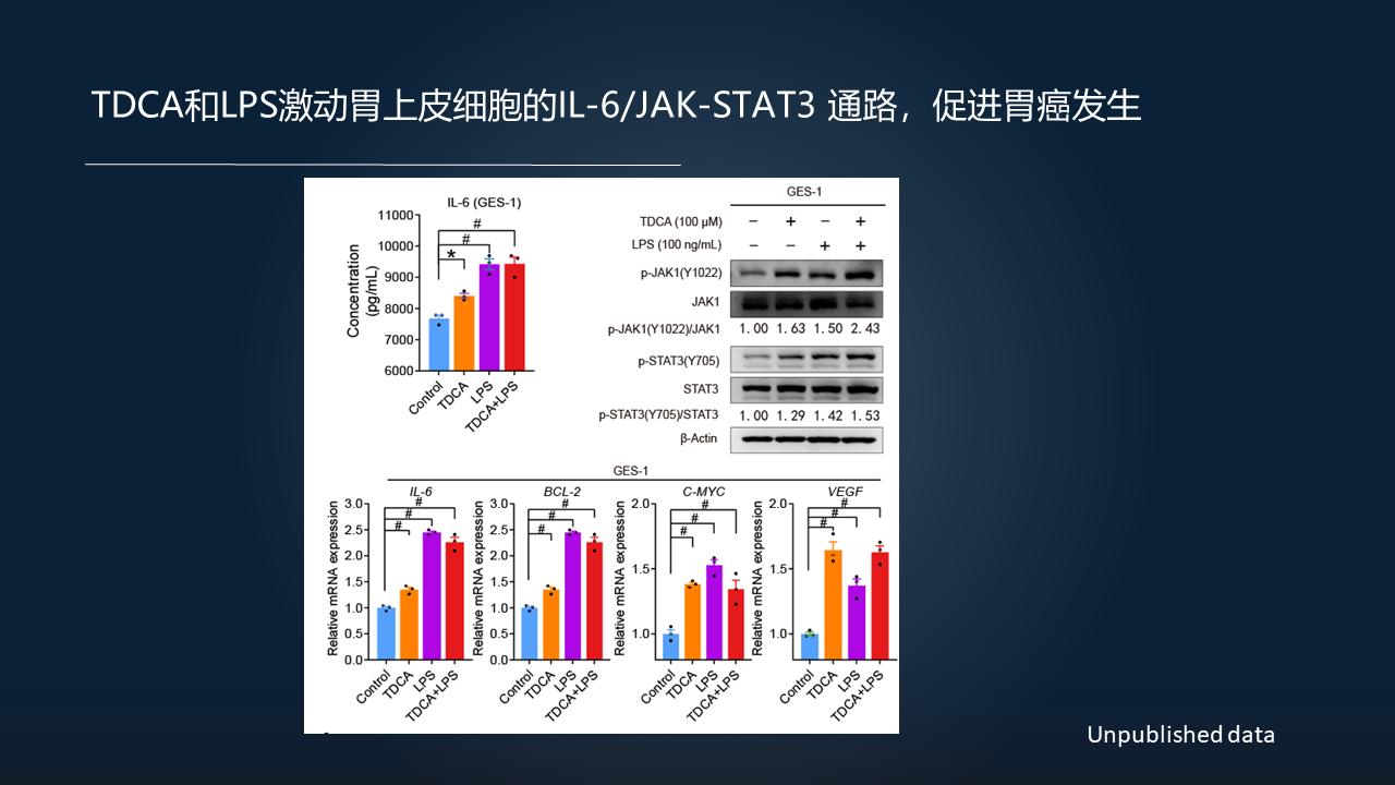 「图文实录」郑晓皎：18分钟详解菌群-胆汁酸与消化系统肿瘤