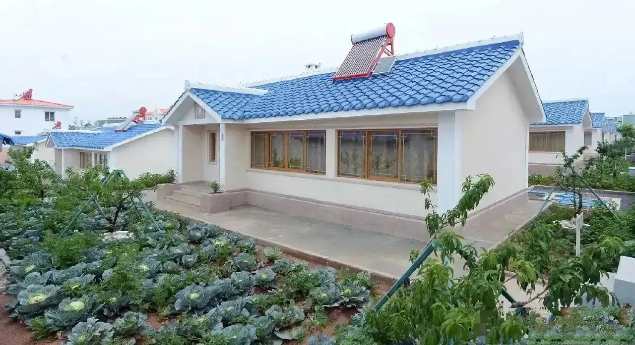 63张照片看朝鲜,朝鲜免费住宅图片