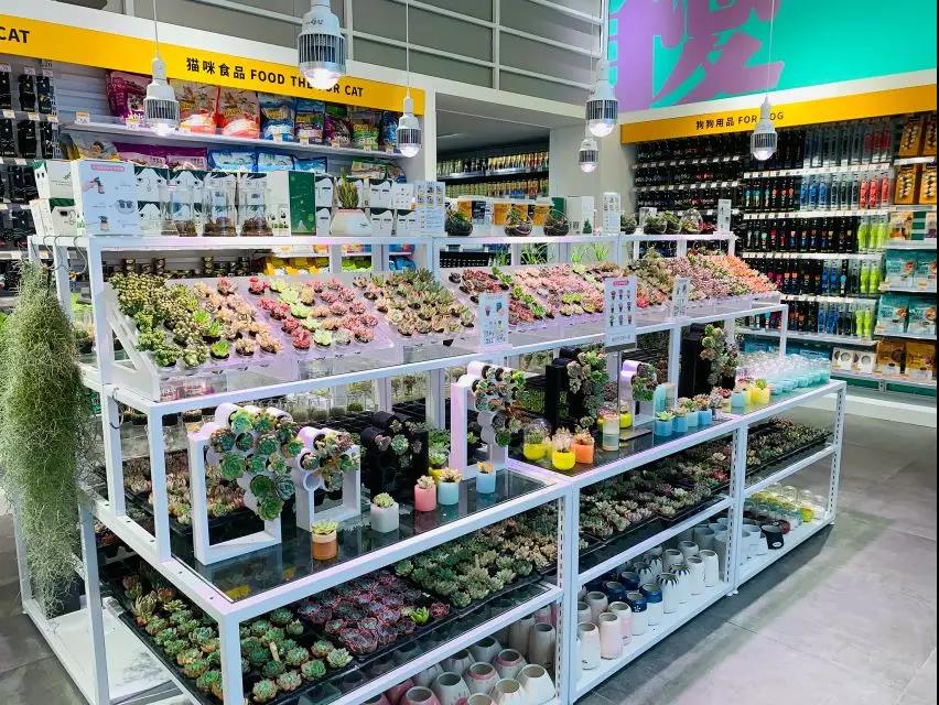 kkv网红打卡地集装箱生活馆,kkv打卡店在哪里