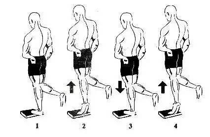 弹跳训练涉及的板块,弹跳训练计划之周一