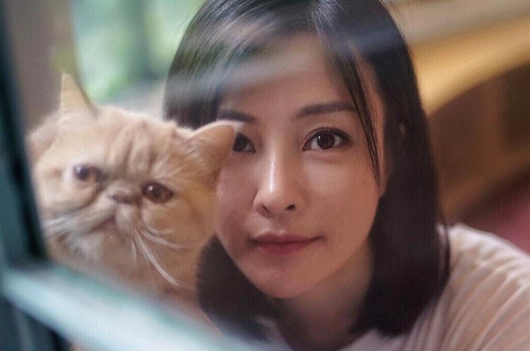 《遇见幸福》是成人版《小欢喜》，萧晴简直像是宋倩附体