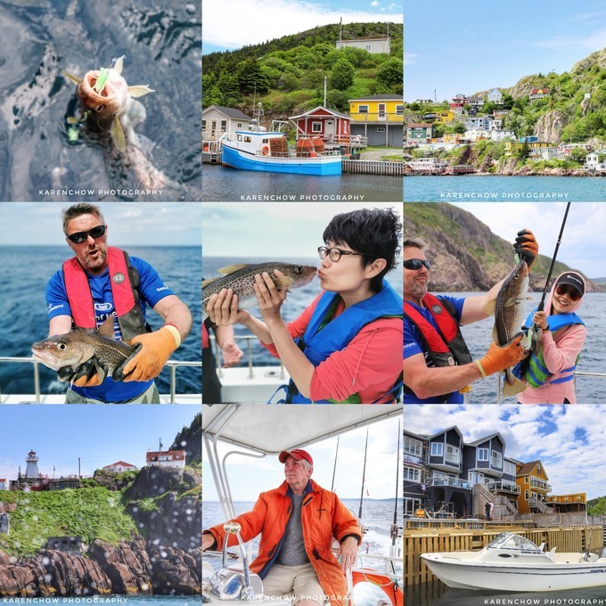 加拿大小众旅游目的地,加拿大纽芬兰自驾旅游