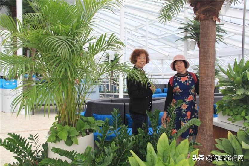 流光溢彩海洋光谱号日本之旅