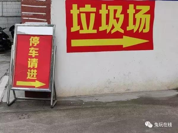 如果你的生命只剩5秒你会做什么,如果只剩下5秒时间你会做什么