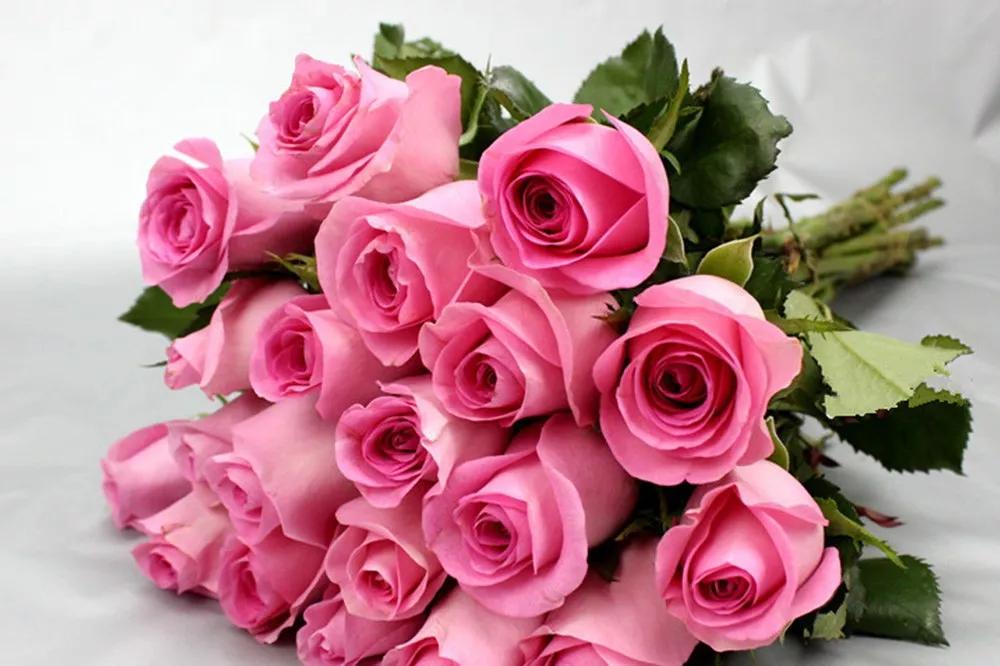 花店必备的5款玫瑰,花店最常用什么品种的玫瑰花