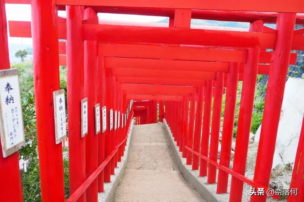 灞卞彛鍘垮厓涔冮殔绋绘垚绁炵ぞ,灞卞彛鍘垮厓涔冮殔绁炵ぞ