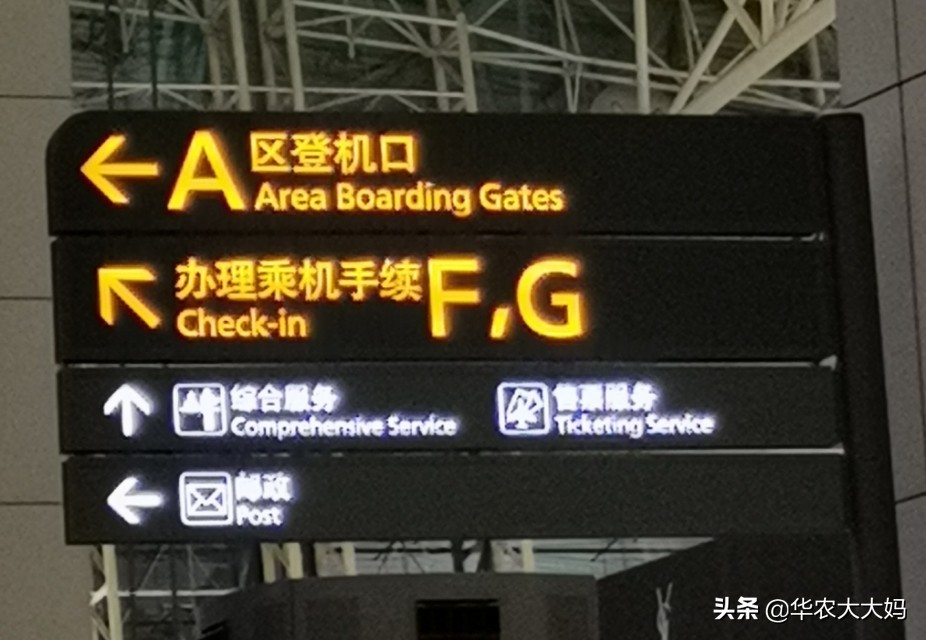 曼谷钓记,曼谷游记骑大象