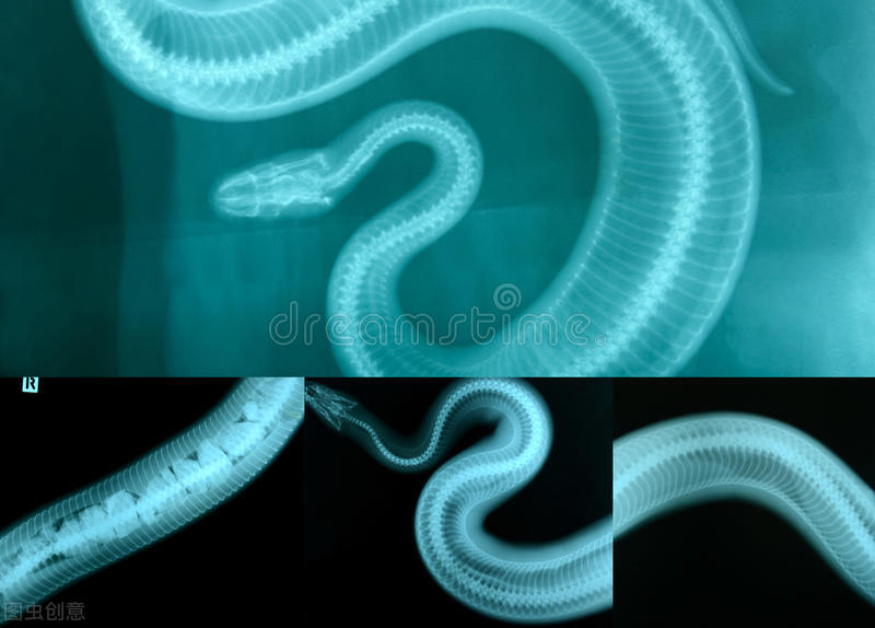 蛇性本淫是什么,蛇性本淫的意思