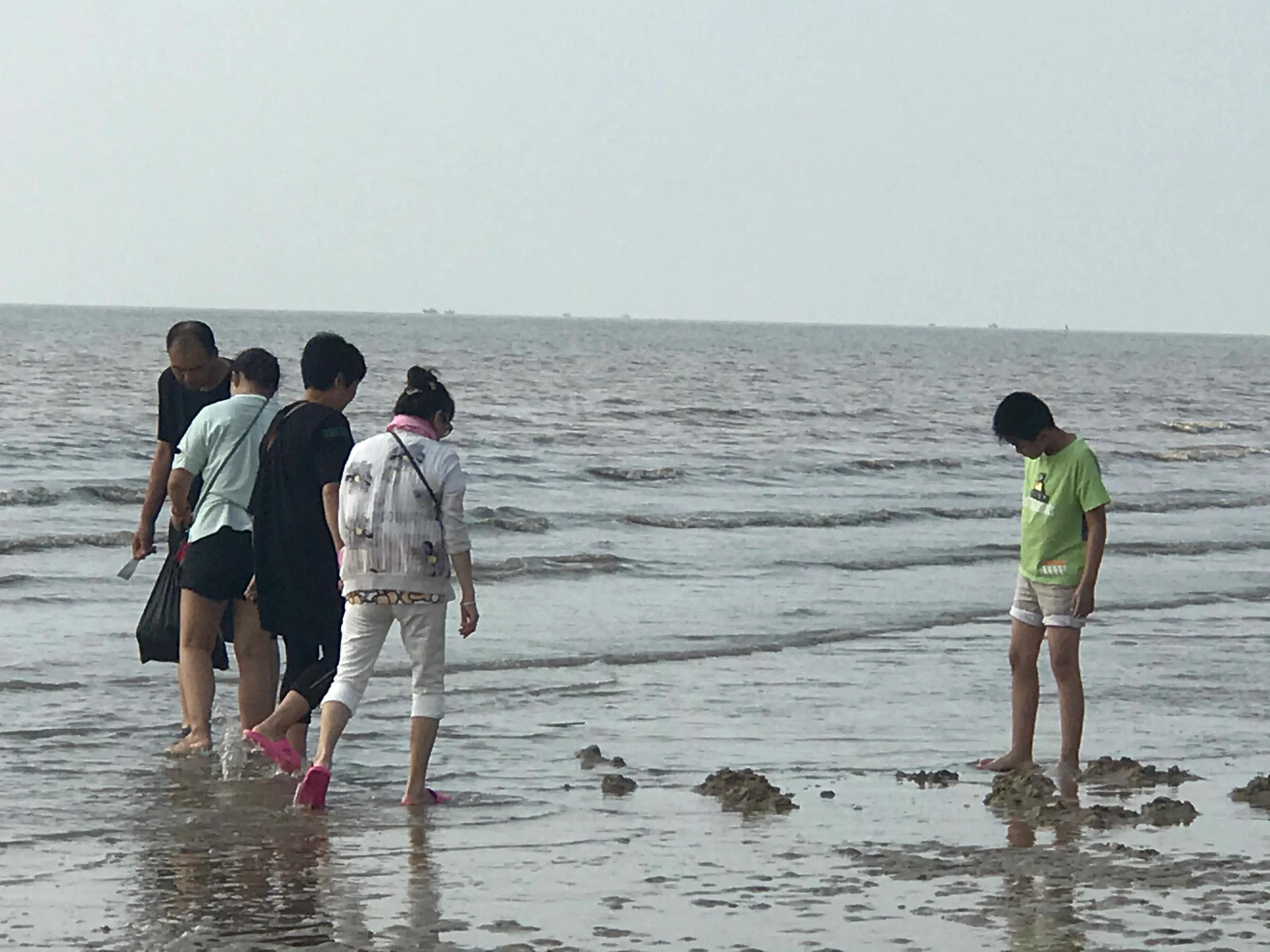 营口北海海洋公园免门票,营口北海海洋公园简介