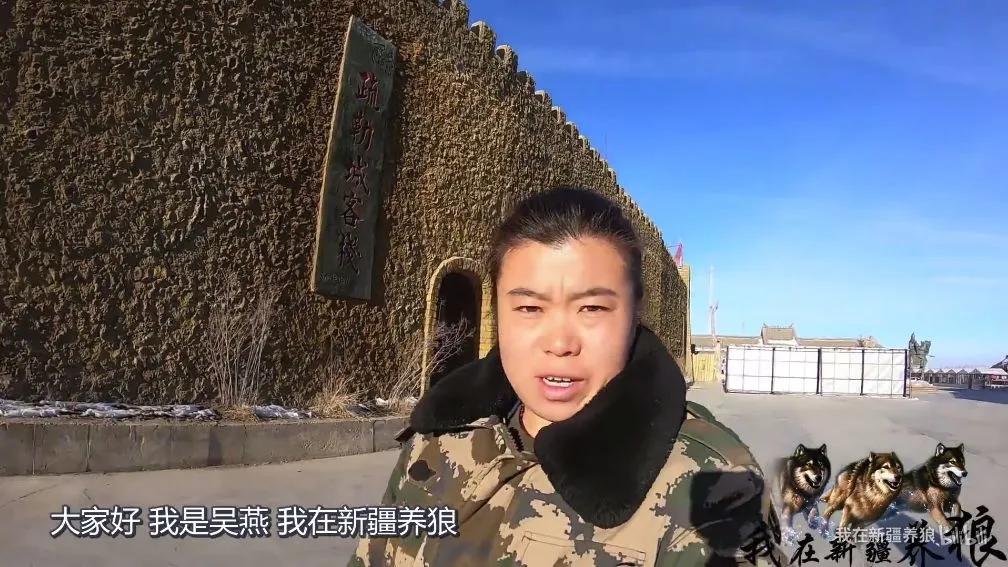 哈士奇养成狼,狼被养成了哈士奇