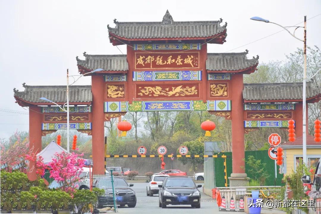 三圣花卉市场正规吗,三圣乡花卉市场今日现状