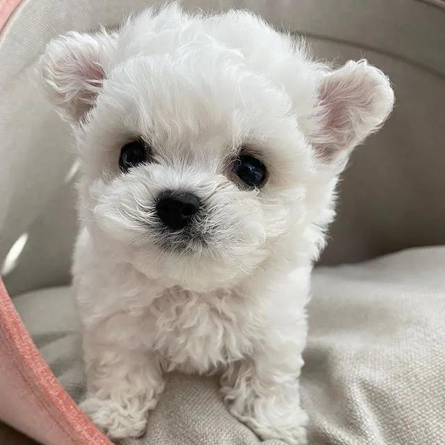 拿什么方式减压,有什么最好的减压方法