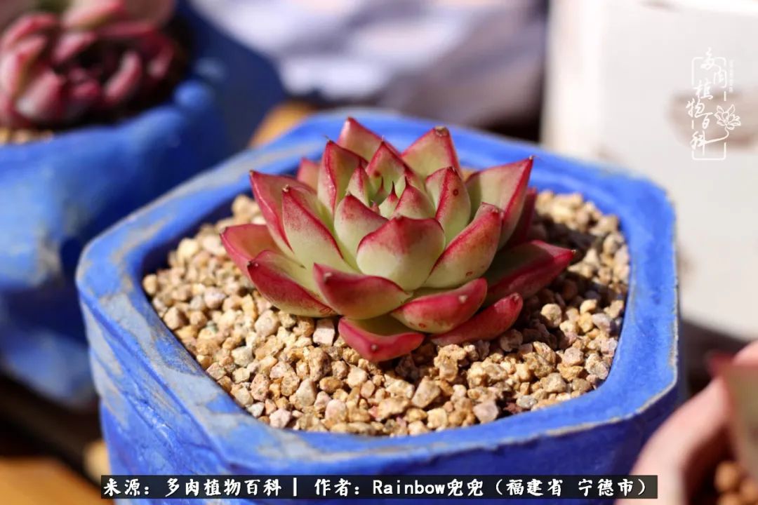 岁月无波澜余生不悲欢是啥意思,愿你岁月无波澜敬我余生无悲欢