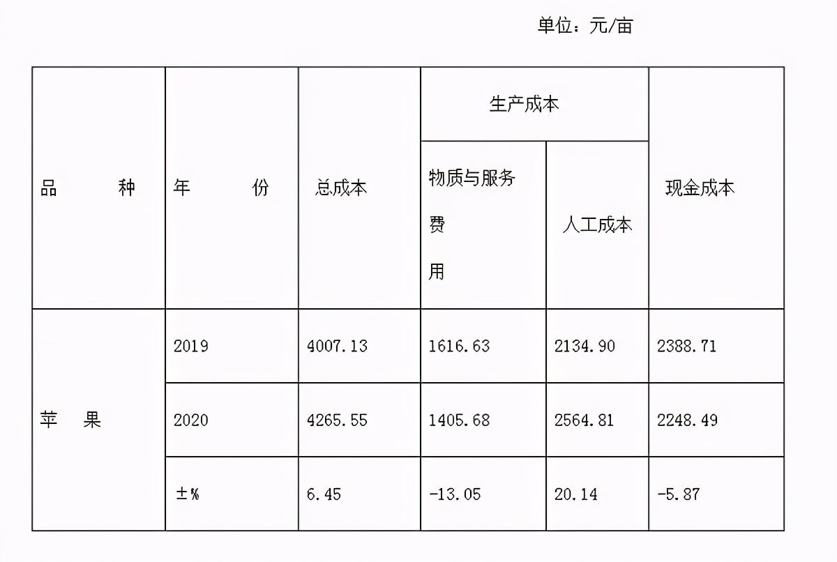 农业生产成本预估表格,农业农村统计数据分析报告