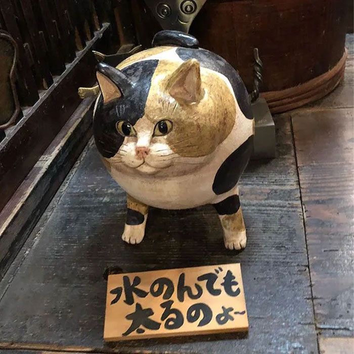 日本都是招财猫的寺庙,猫咪古灵精怪的寺庙
