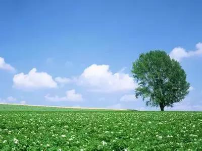 「学习」成语大全--中国全部的成语基本都在这里