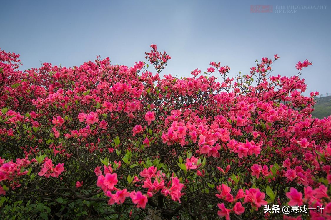 五一杭州旅游住宿最佳方案,五一旅游杭州出发3天最佳去处