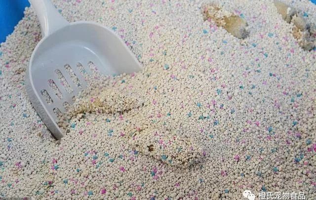 猫砂到底买哪种比较好 (选择哪款猫砂)